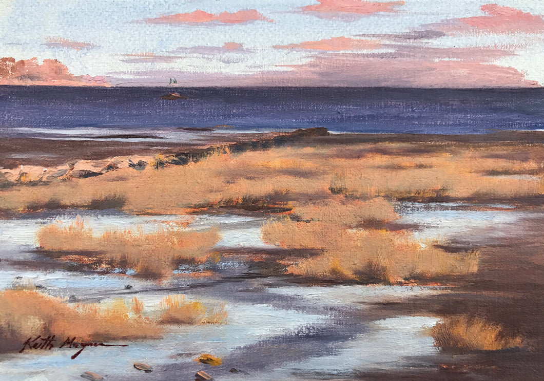 This original plein air oil painting was painted onsite in Southport, CT.  It is painted on archival quality canvas covered panel with professional oil pigments.  The painting itself measures 5X7