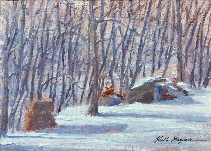 This original plein air oil painting was painted onsite in Fairfield, CT.  Keith noticed this fox resting on a bolder in the sun outside his studio window and was able to capture the scene.  It is painted on archival quality canvas covered panel with professional oil pigments.  The painting itself measures 5X7